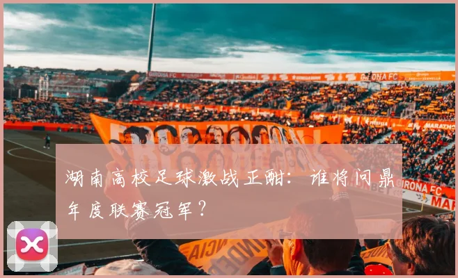 湖南高校足球激战正酣：谁将问鼎年度联赛冠军？
