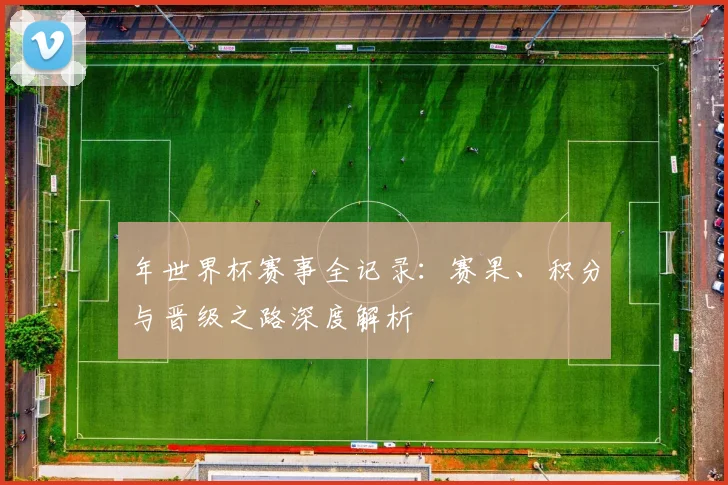 年世界杯赛事全记录：赛果、积分与晋级之路深度解析