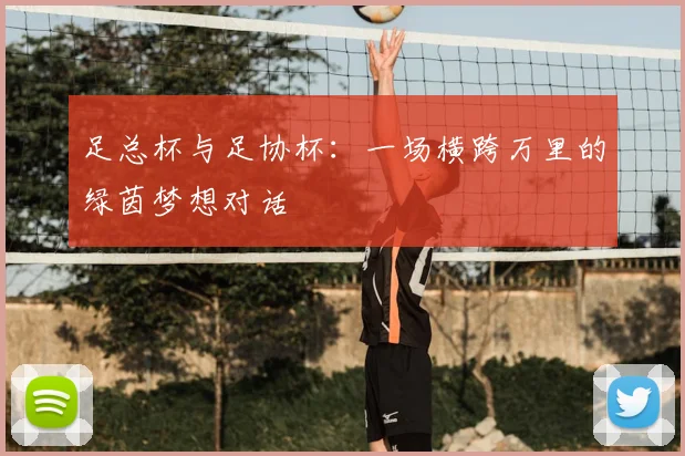 足总杯与足协杯：一场横跨万里的绿茵梦想对话